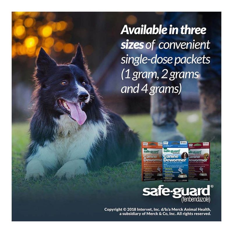 SafeGuard Dog Dewormer Granules for Parasite Treatment Lambert Vet Supply Dog, Cat, Horse