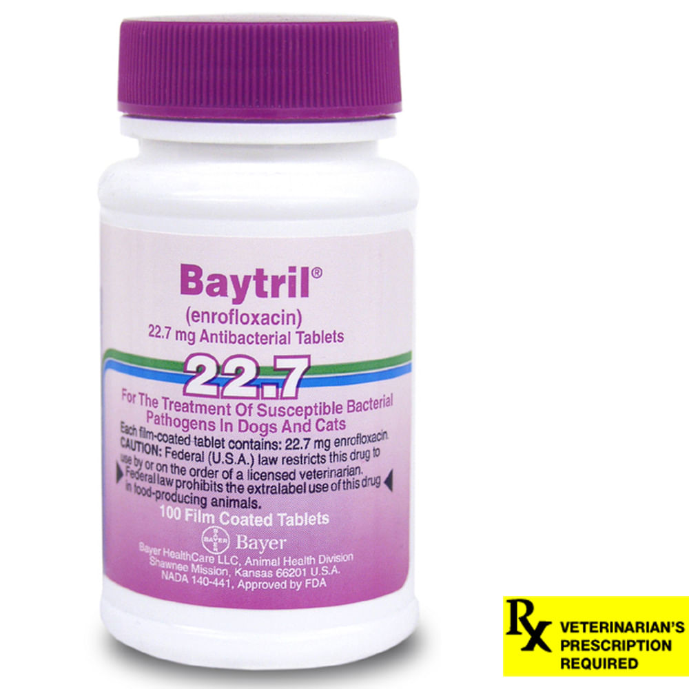 Baytril for Dogs & Cats; Prescription Antibiotic Pet Supplies 4 Less
