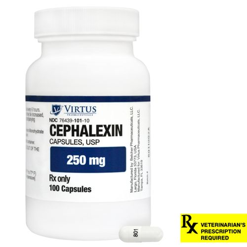 Cephalexin Rx