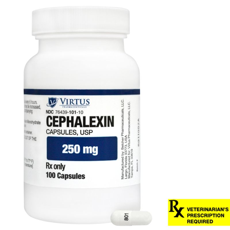 Cephalexin for Dogs Antibiotic Treatment Lambert Vet Supply Dog, Cat, Horse, Kennel, & Vet