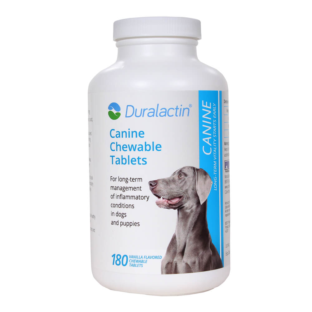 Duralactin canine soft store chews