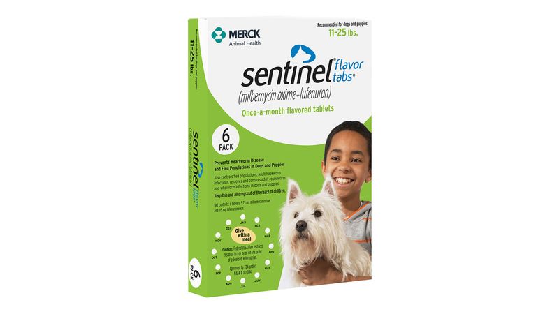 Sentinel flea outlet treatment