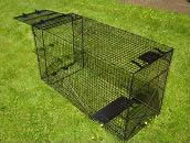 Humane Way Easy Up Folding Live Animal Trap