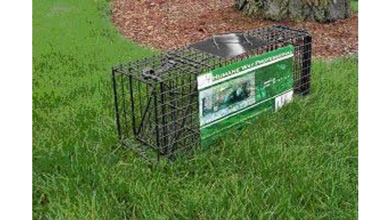 Humane Way Standard Live Animal Traps