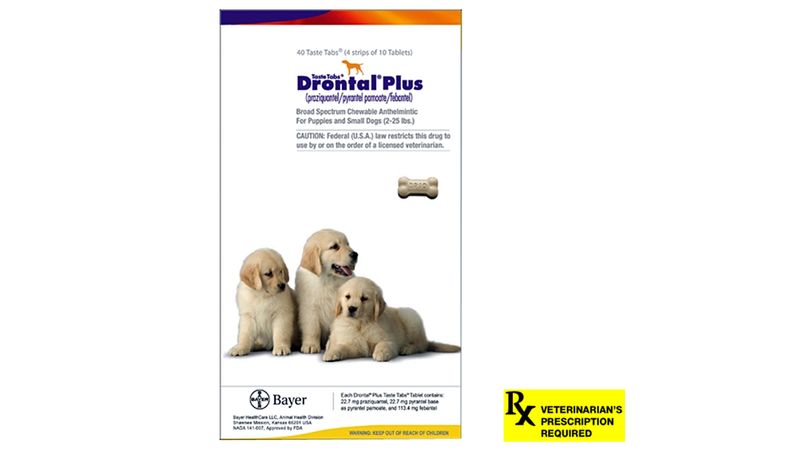 Drontal Plus Taste Tabs Canine Worm Tablets Lambert Vet Supply Dog Cat Horse Kennel Vet Supplies