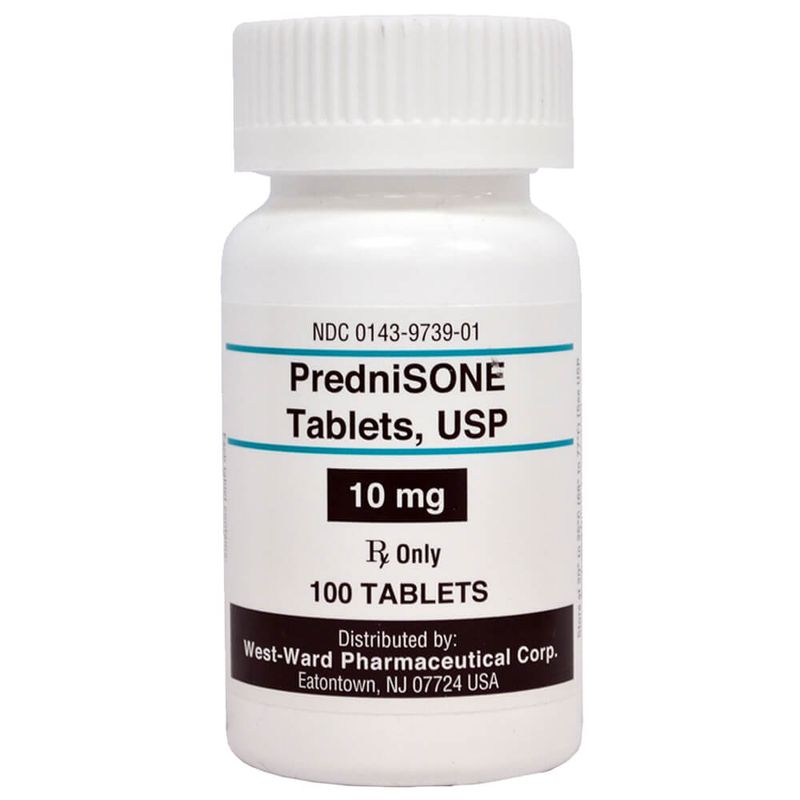 PredniSONE Rx Tablets for Dogs Lambert Vet Supply Dog, Cat, Horse