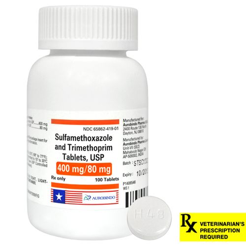 Rx SMZ-TMP 480 mg