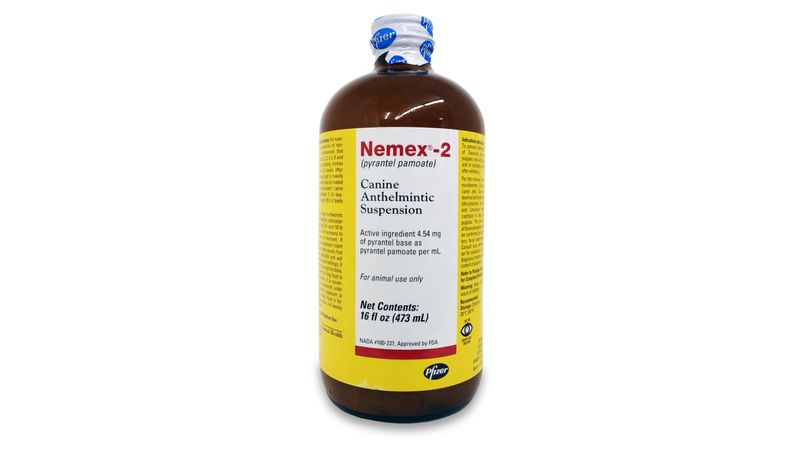 Nemex 2 Oral Suspension for Dogs Lambert Vet Supply Dog Cat Horse Kennel Vet Supplies