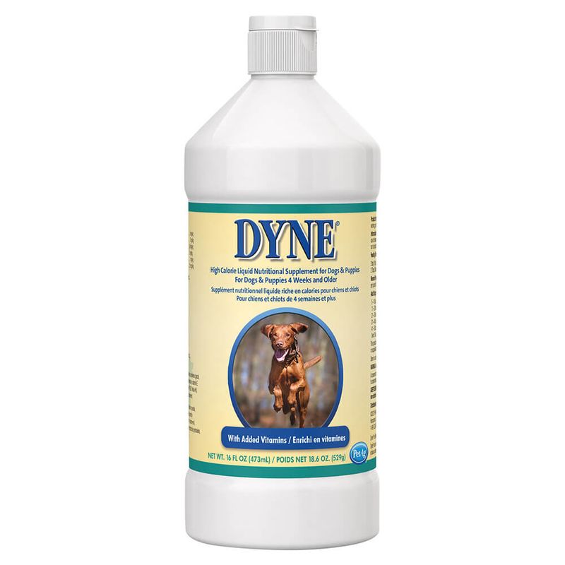 Dyne for Dogs High Calorie Supplements Lambert Vet Supply Dog, Cat, Horse, Kennel, & Vet