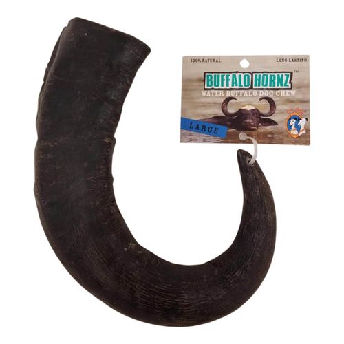 Water Buffalo Horn