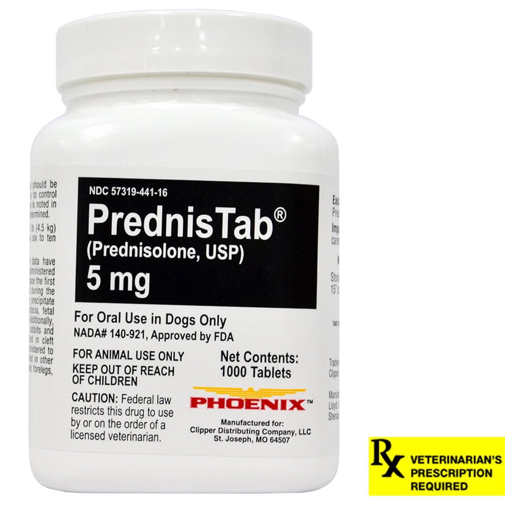 Rx Prednisolone, (Prednistab) Lambert Vet Supply Dog, Cat, Horse