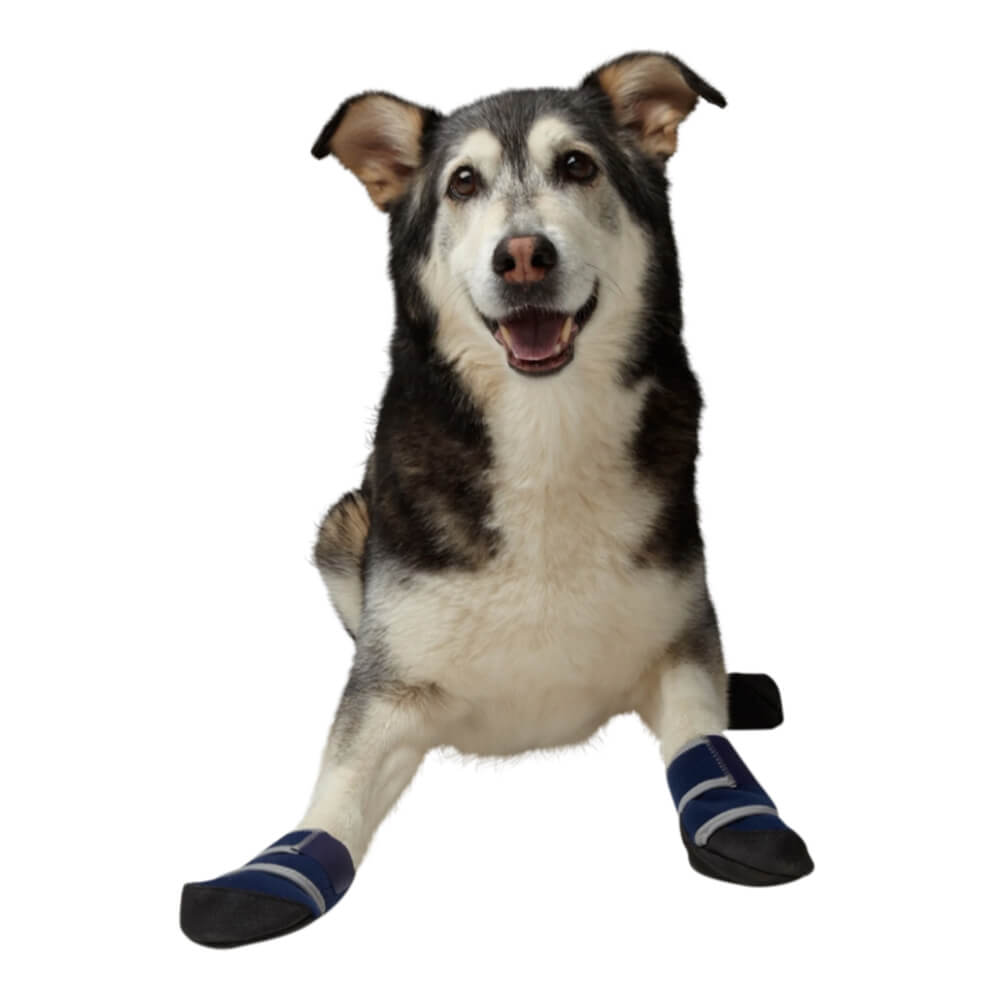 Healers dog outlet boots