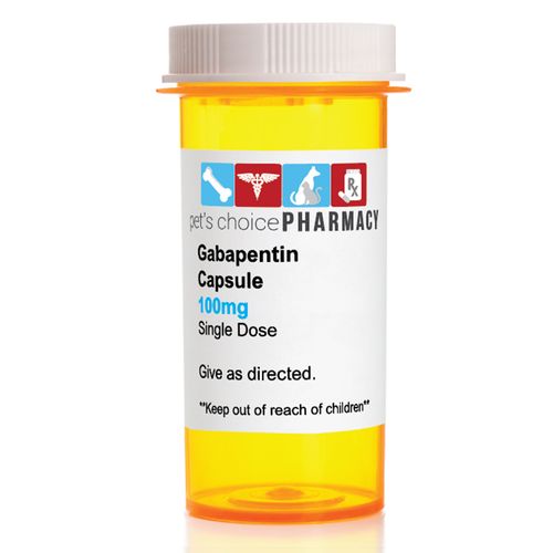 Rx Gabapentin Capsules