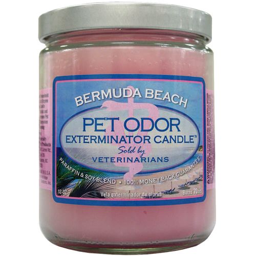 Pet Odor Exterminator Candles Multiple Scents Soy Blend