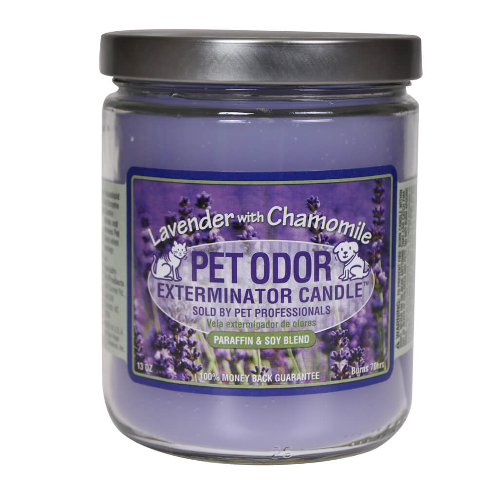 Pet Odor Exterminator Candles Paraffin And Soy Blend Lambert Vet   080SPP LAVENDER 