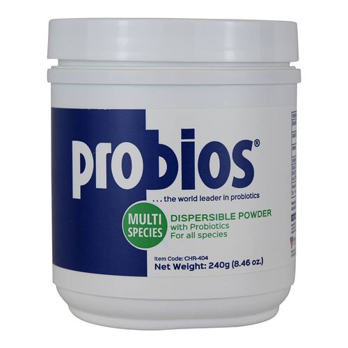 Probios Dispersible Powder 240 g