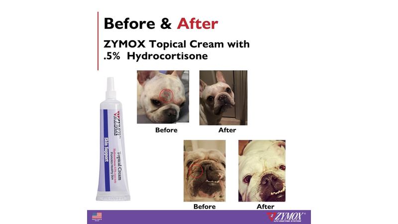 Zymox cream hotsell for dogs