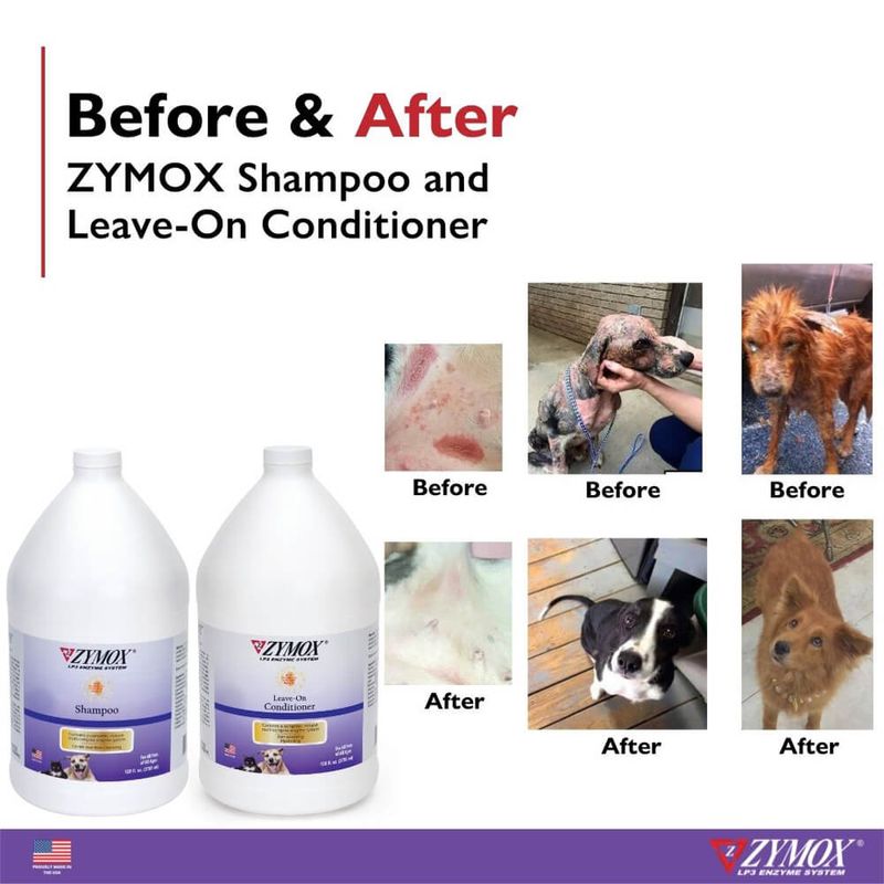 Zymox Enzymatic Shampoo with Vitamin D3, 1 Gallon Lambert Vet Supply