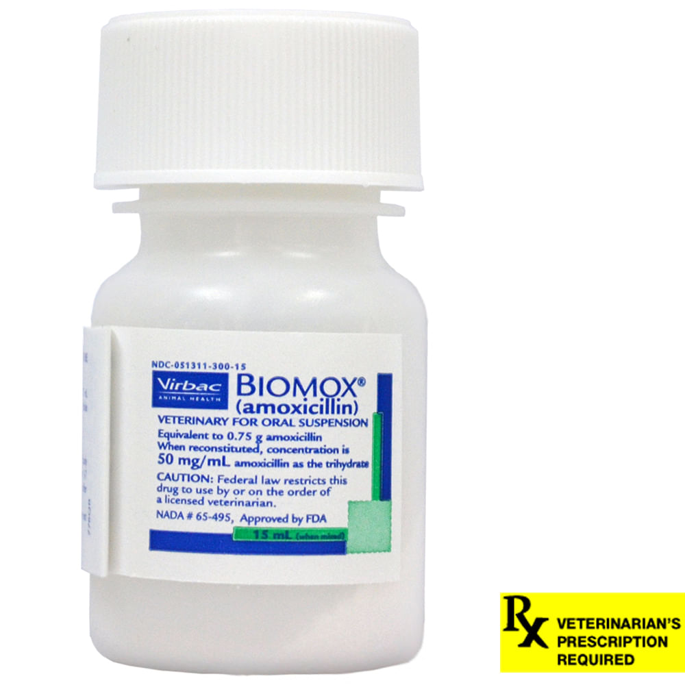 Biomox Oral Suspension, Oral Dog Antibiotic - Pet Supplies 4 Less