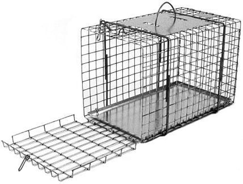 Tomahawk End Opening Cage, 16x9x10 - Lambert Vet Supply | Dog, Cat ...