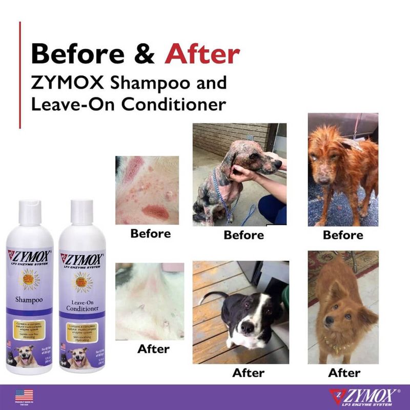 Zymox Shampoo with Vitamin D3, 12 oz Lambert Vet Supply Dog, Cat