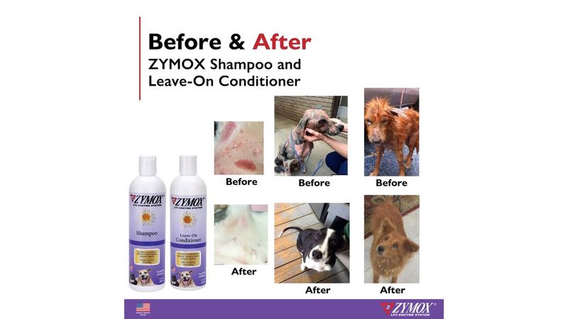 Zymox hotsell conditioning rinse