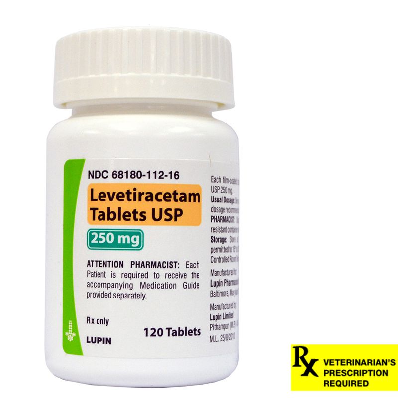 Keppra Levetiracetam, Epilepsy Meds for Dogs and Cats Lambert Vet