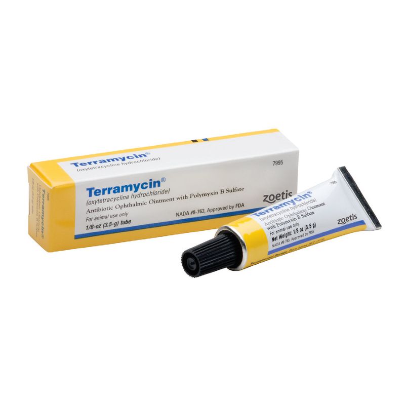 Terramycin Ophthalmic Ointment Eye Infection Treatment Lambert Vet