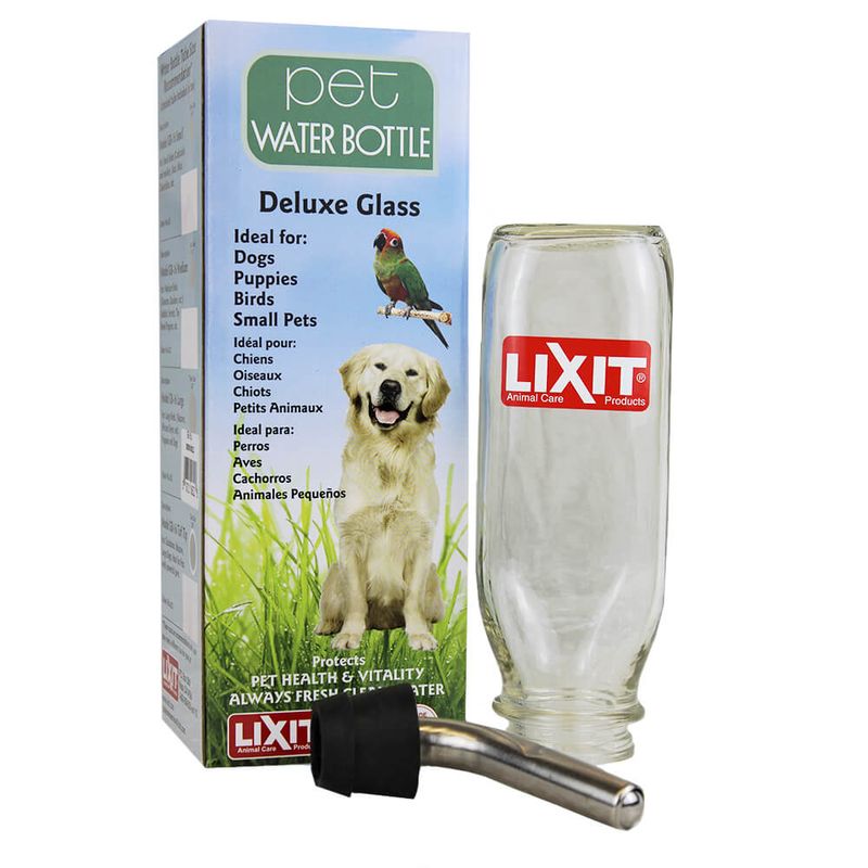 lixit-16-oz-glass-water-bottle-with-large-5-8-drinking-tube-with