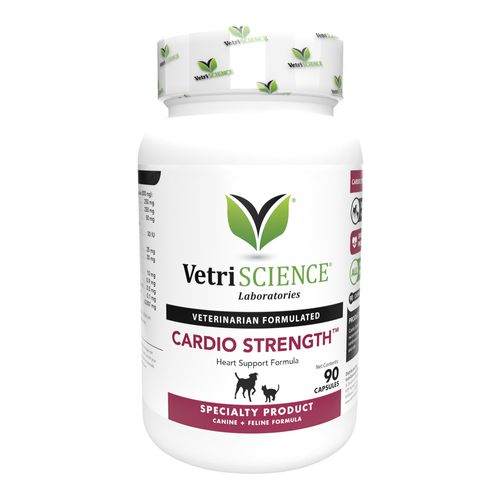 Cardio-Strength For Cats and Dogs