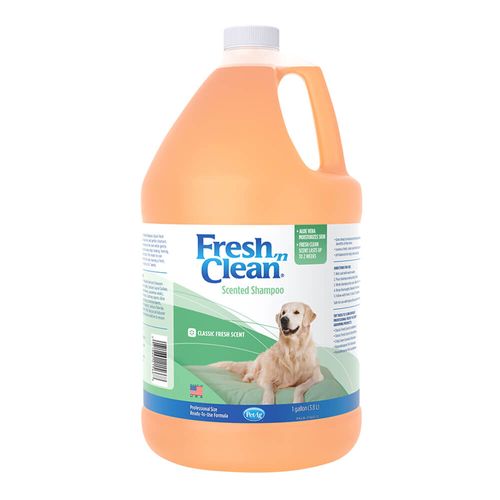 Fresh 'n Clean Scented Shampoo Gallon