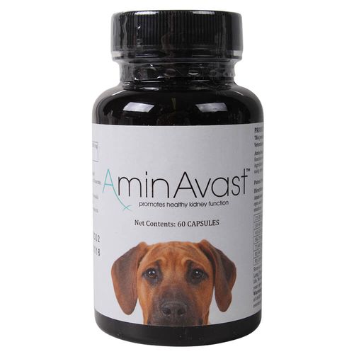 AminAvast for Dogs