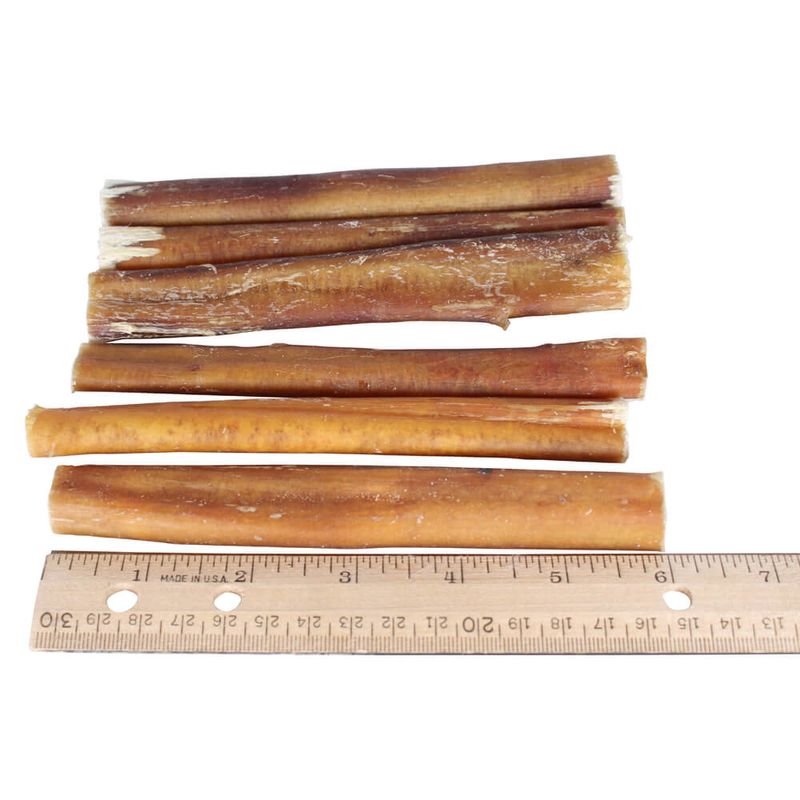 Bully Stick Dog Chews, All Natural Pizzle Chew, 6 pack Lambert Vet