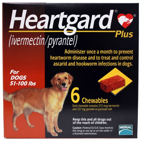 Heartgard Plus Dogs 51-100 lbs 6 Chewable Tablets Rx