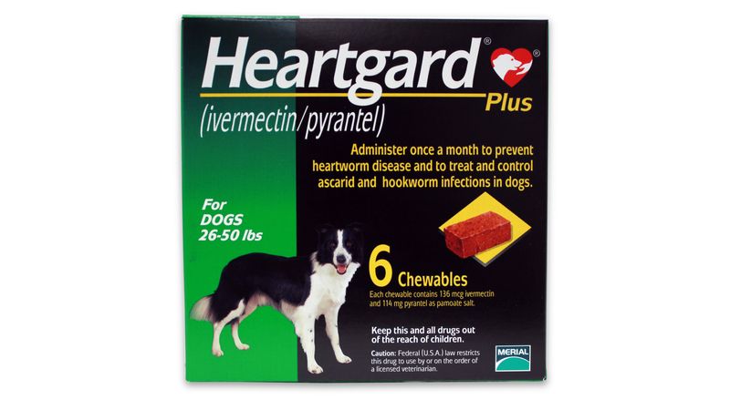 Heartgard Plus for Dogs 26 50 lb 6 mo Green Lambert Vet