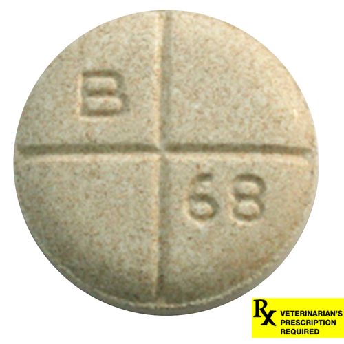 Rx Baytril 68mg x 1 Taste Tabs White