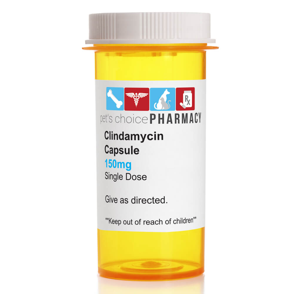 Rx Clindamycin 150mg X 1 Capsule - Lambert Vet Supply | Dog, Cat, Horse ...