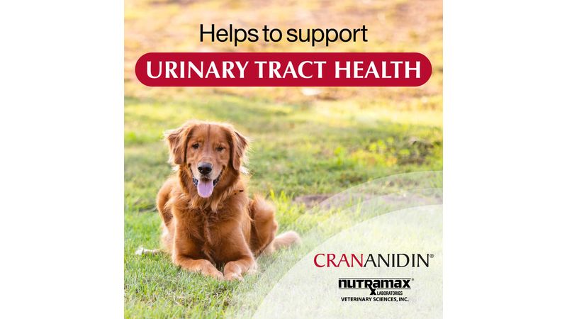 Crananidin deals for dogs