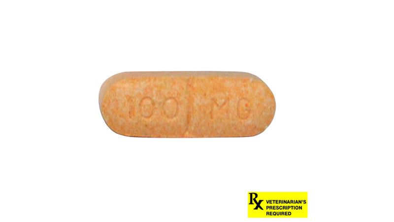 Novox caplets 2024 100 mg