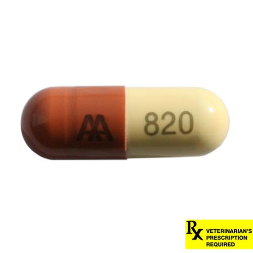 Amoxicillin Rx 250 mg x 1 Capsule