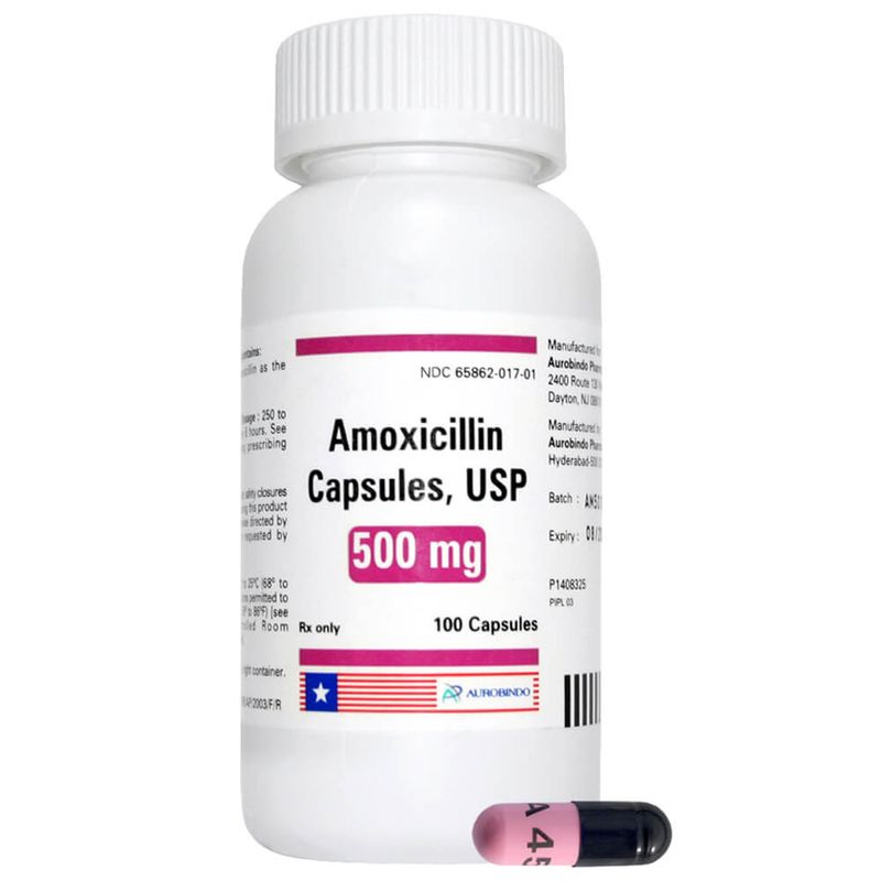 Amoxicillin 500 mg x 100 ct, Dog Amoxicillin Lambert Vet Supply Lambert Vet Supply Dog