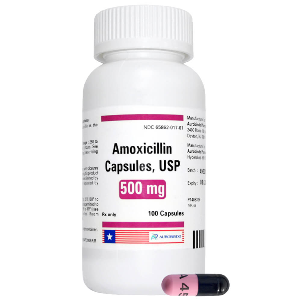 Amoxicillin 500 mg Capsules for Dog Infections - Pet Supplies 4 Less