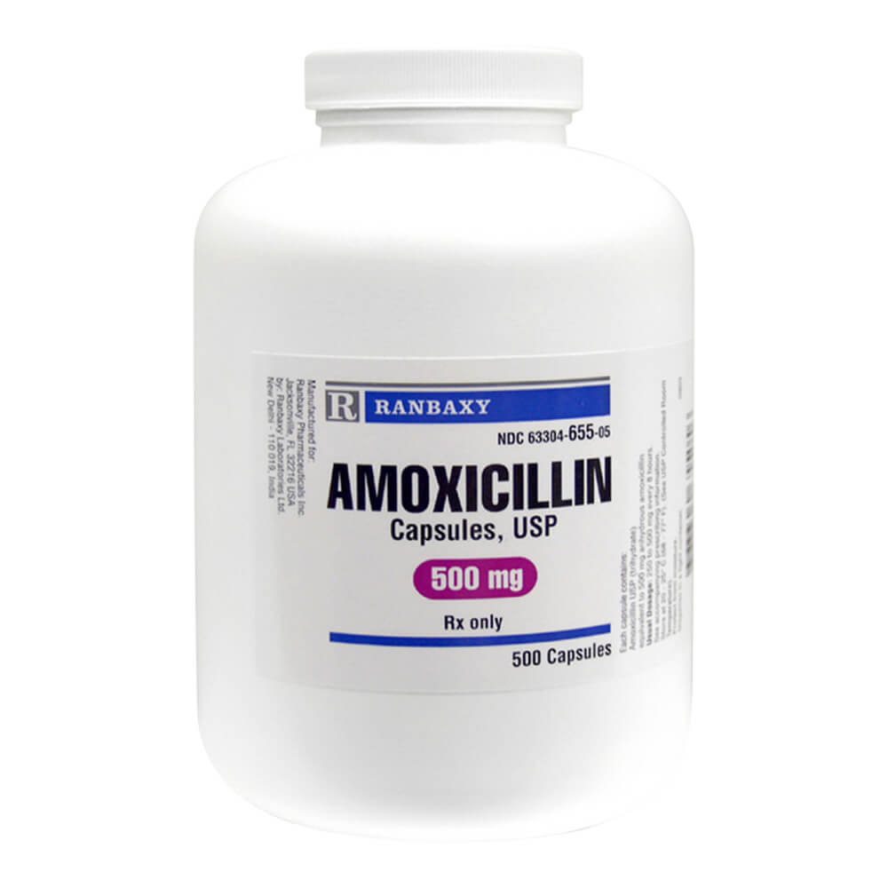 Amoxicillin 500 mg x 500 ct, Dog Amoxicillin - Lambert Vet Supply | Dog ...