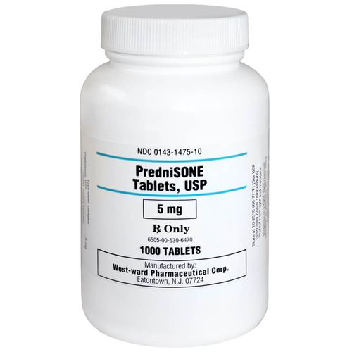 PredniSONE Rx Tablets 5 mg x 1000 ct