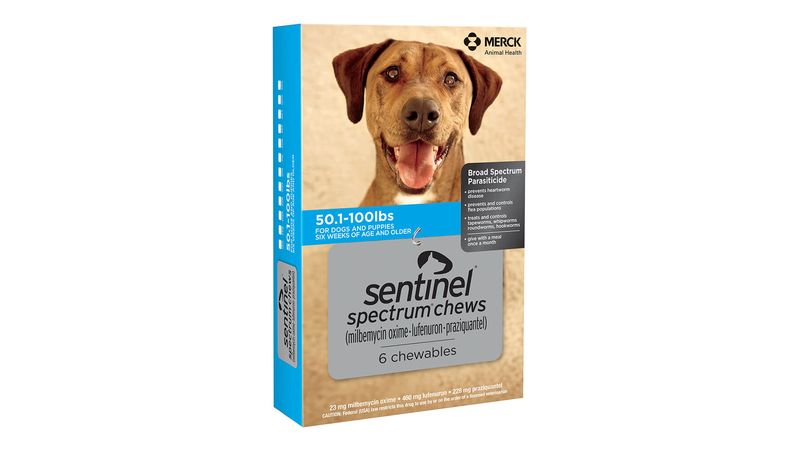 Sentinel blue 2024 6 pack