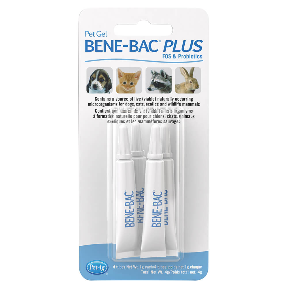 Bene-Bac Plus Pet Gel, 1 gram, 4 Pack - Pet Supplies 4 Less