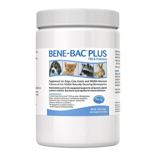 Bene-Bac Plus Pet Powder 1 lb.