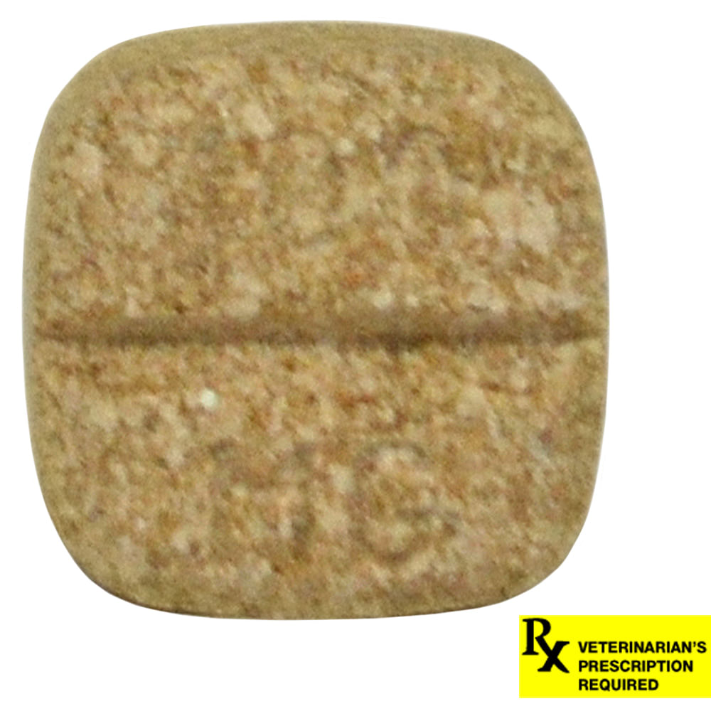 Rimadyl 100 mg x 1 Chewable Tablet for Dogs - Pet Supplies 4 Less