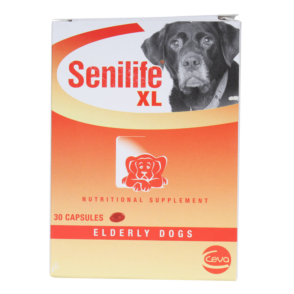 Senilife best sale for cats