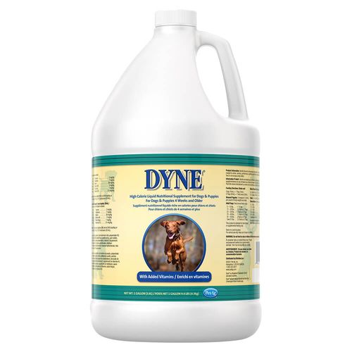 Dyne High Calorie Liquid for Dogs 1 gal